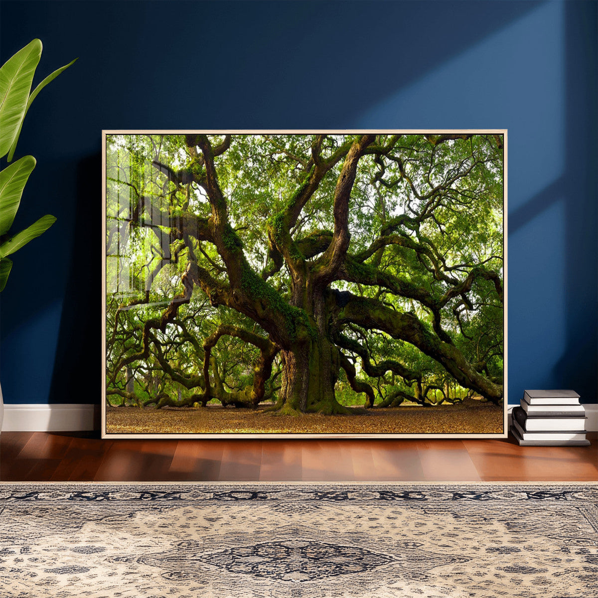 Angel Oak Tree Wall Art Canvas Print | Forest Tree Nature Photography Print