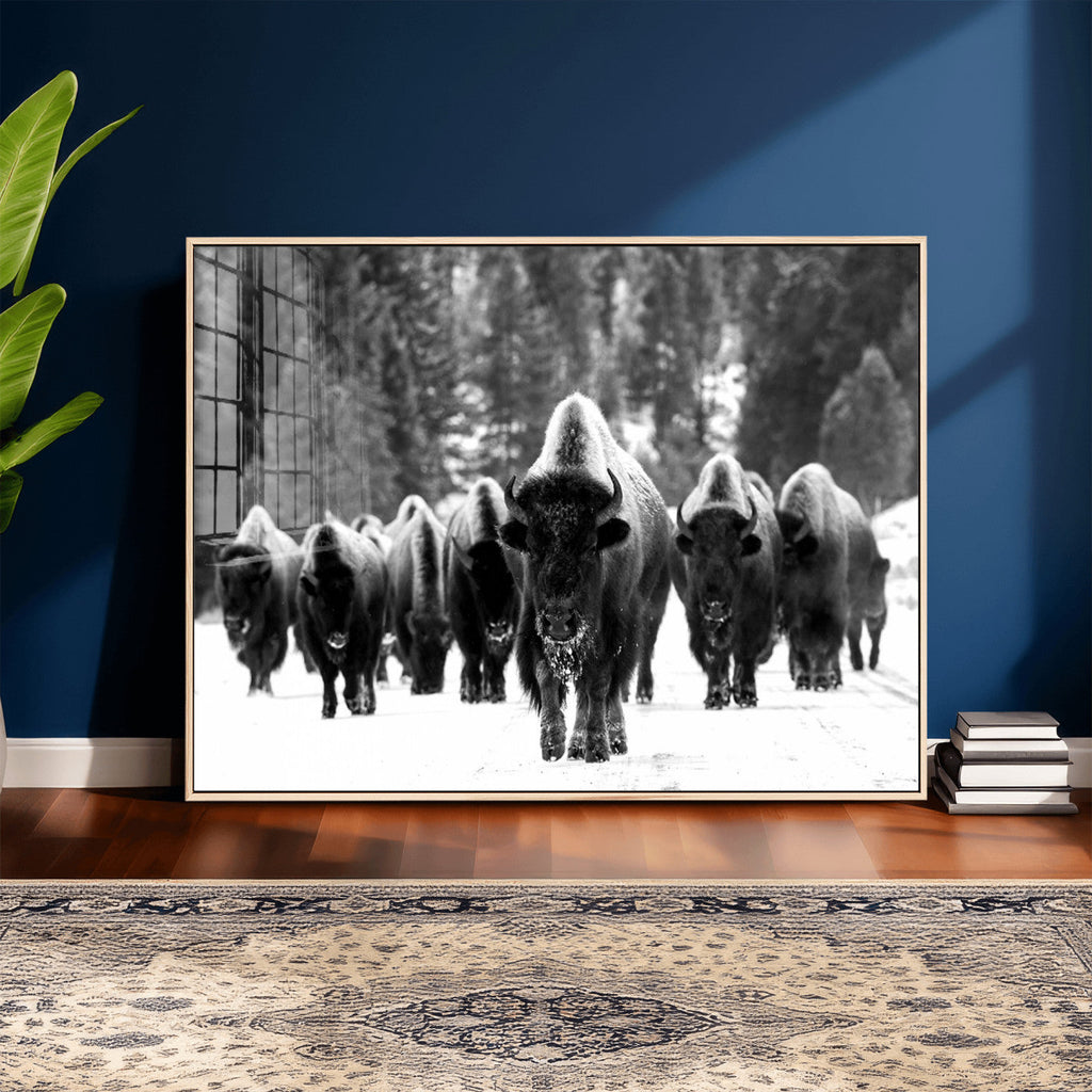 Bison Herd in Snow Wall Art Canvas Print | Rustic Western Bison Wall Art for Living Room and Farmhouse Decor