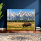 Bison in Mountain Landscape Wall Art Canvas Print, Western Decor