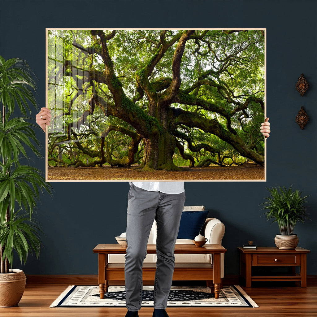Angel Oak Tree Wall Art Canvas Print | Forest Tree Nature Photography Print