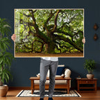 Angel Oak Tree Wall Art Canvas Print | Forest Tree Nature Photography Print