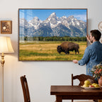 Bison in Mountain Landscape Wall Art Canvas Print, Western Decor