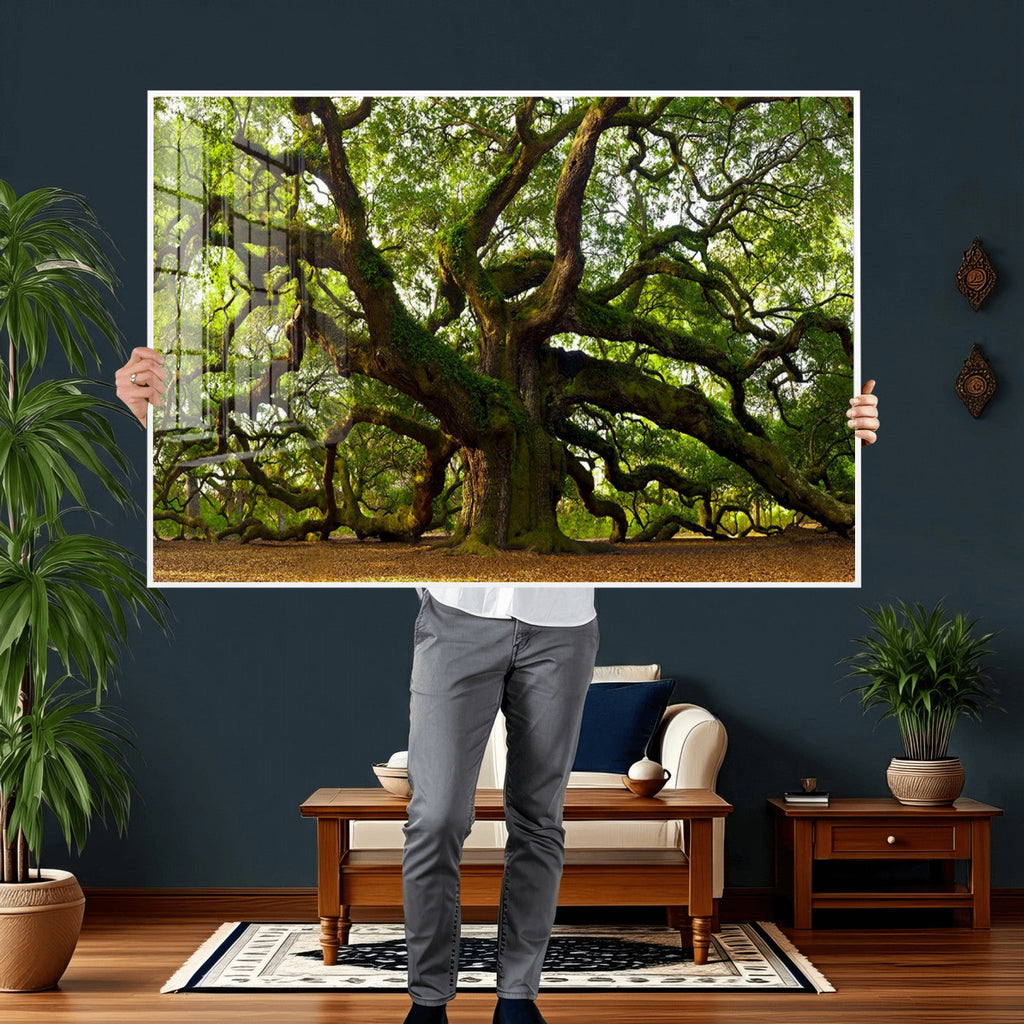 Angel Oak Tree Wall Art Canvas Print | Forest Tree Nature Photography Print