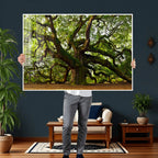 Angel Oak Tree Wall Art Canvas Print | Forest Tree Nature Photography Print