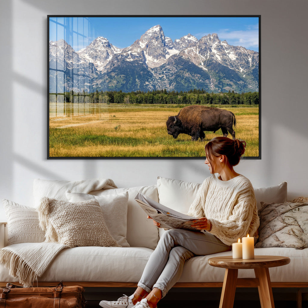 Bison in Mountain Landscape Wall Art Canvas Print, Western Decor