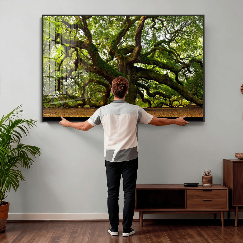 Angel Oak Tree Wall Art Canvas Print | Forest Tree Nature Photography Print