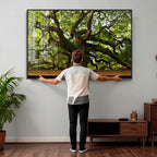 Angel Oak Tree Wall Art Canvas Print | Forest Tree Nature Photography Print