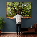 Angel Oak Tree Wall Art Canvas Print | Forest Tree Nature Photography Print