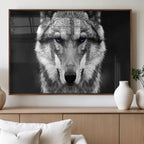 Black and White Wild Wolf Wall Art Canvas Print