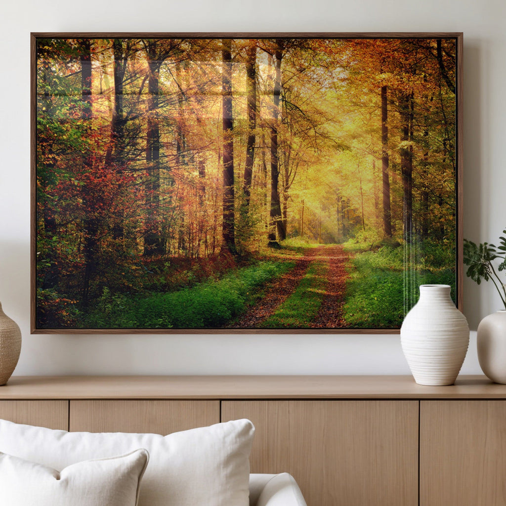 Sunlight Through Trees Wall Art Canvas Print | Autumn Forest Wall Art