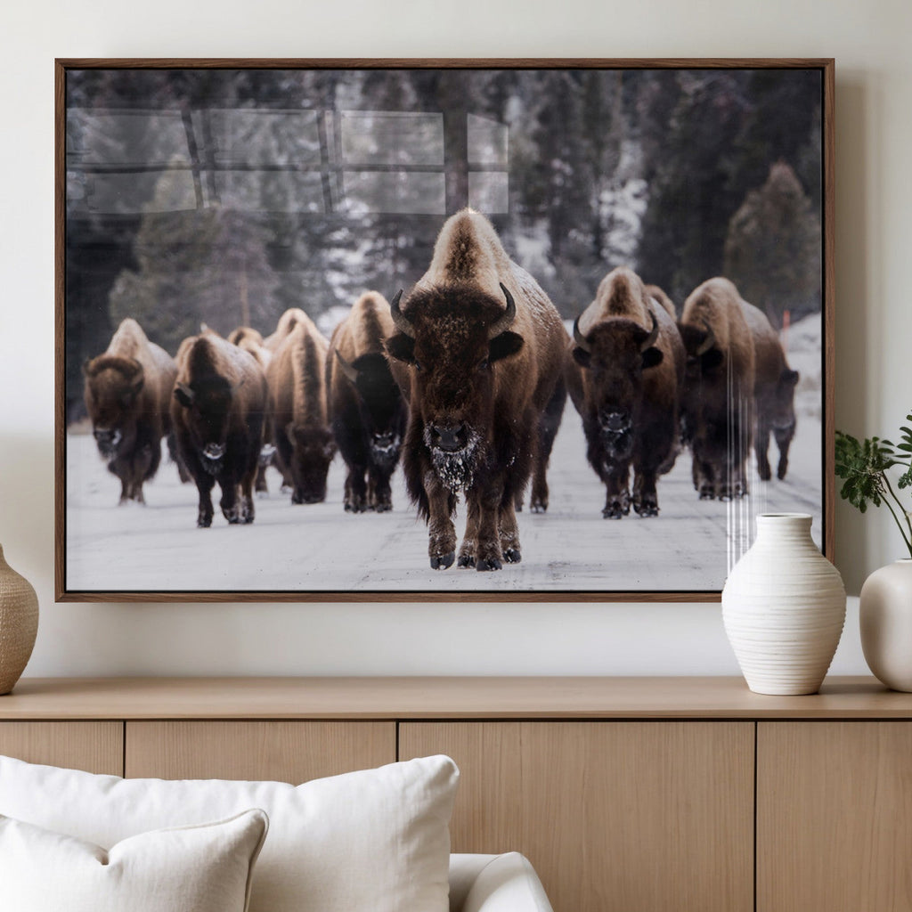 Bison Wall Art Canvas Print, Bison Herd Canvas Wall Art