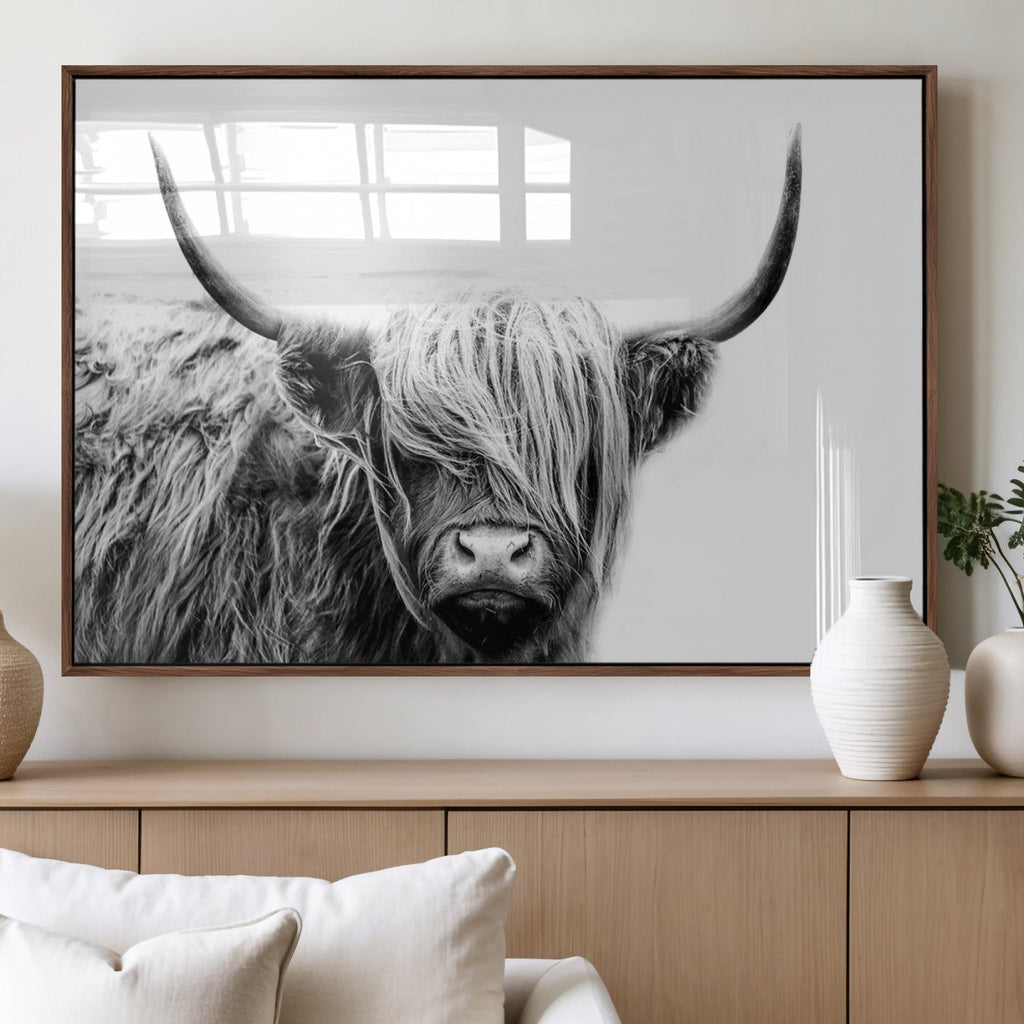 Black White Scottish Highland Cow Cattle Art Print Farmhouse Decor