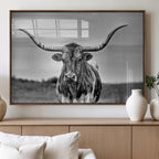 Texas Longhorn Cow Wall Art, Texas Longhorn Canvas, Cattle
