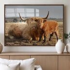 Highland Cow Canvas Wall Art Animal Print for Farm House Decor