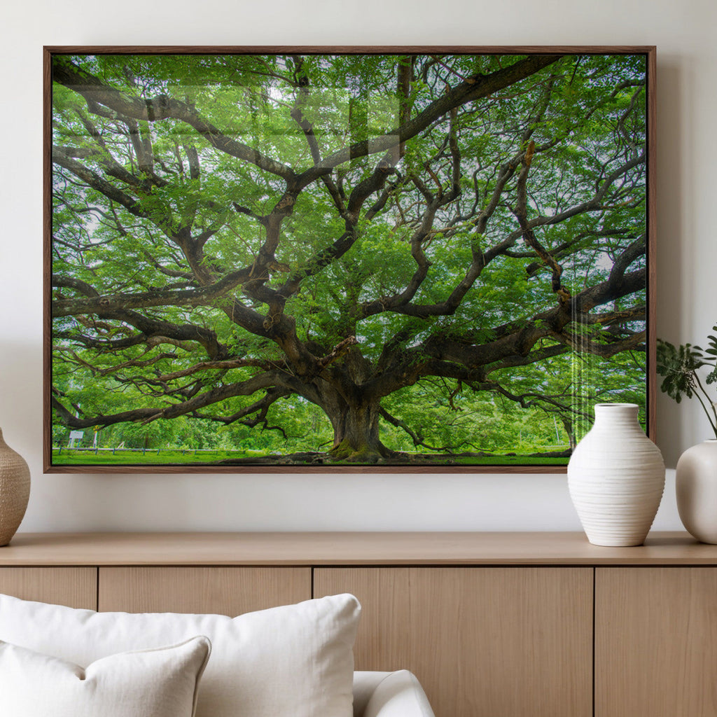 Ancient Tree Wall Art Canvas Print, Framed Sprawling Branches