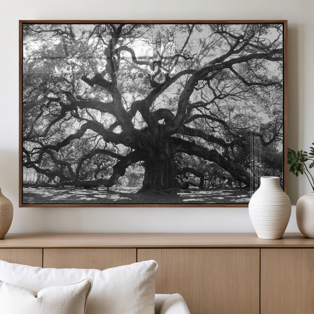 Ancient Oak Wall Art Canvas Print | Gnarled Tree with Twisted Branches