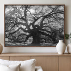 Ancient Oak Wall Art Canvas Print | Gnarled Tree with Twisted Branches