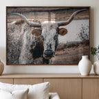 Texas Longhorn Wall Art Canvas Print | Framed Brown and White Spotted Longhorn