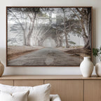 Cypress Tunnel Wall Art | Framed Misty Road Canvas Artwork