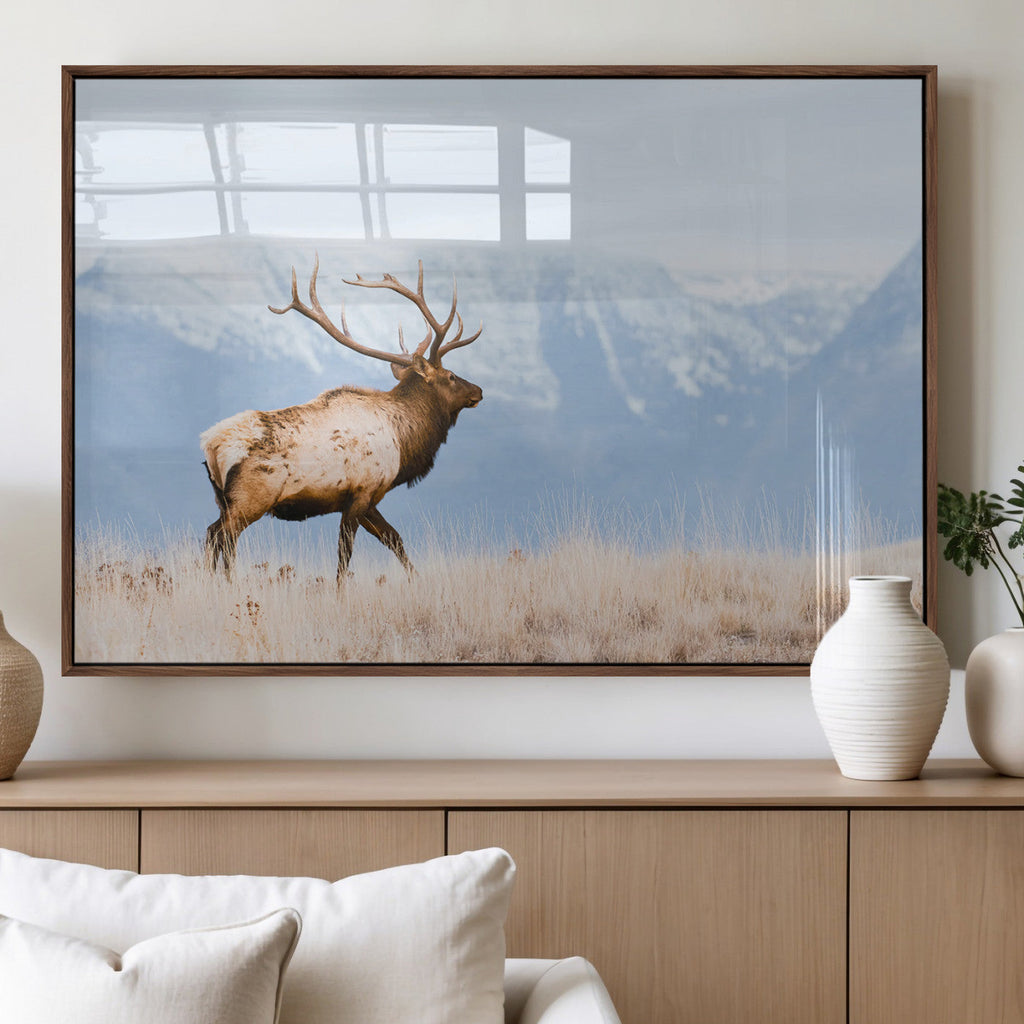 Elk Photography Wall Art Canvas Print, Framed Mountain Wildlife Art, Rustic Lodge Decor