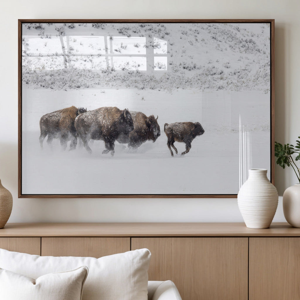 Bison Herd Wall Art Canvas Print, Framed Snowy Bison Scene, Winter Wildlife Decor