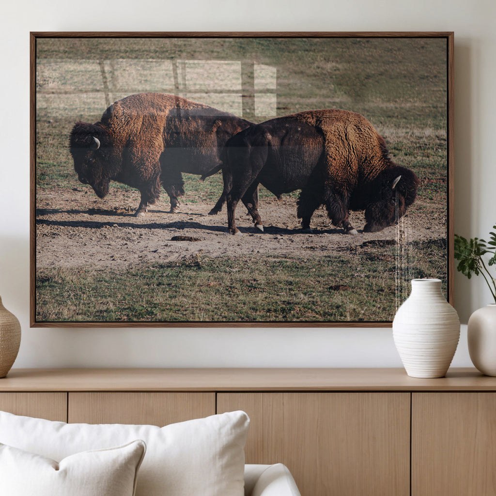 Bison Wall Art Canvas Print, Framed Western Wildlife Modern Ranch