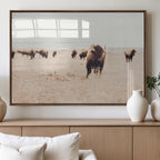 Bison Herd Wall Art Canvas Print, Framed Western Prairie Serenity