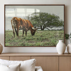 Texas Longhorn Wall Art Canvas Print, Framed Rustic Ranch Western Cattle