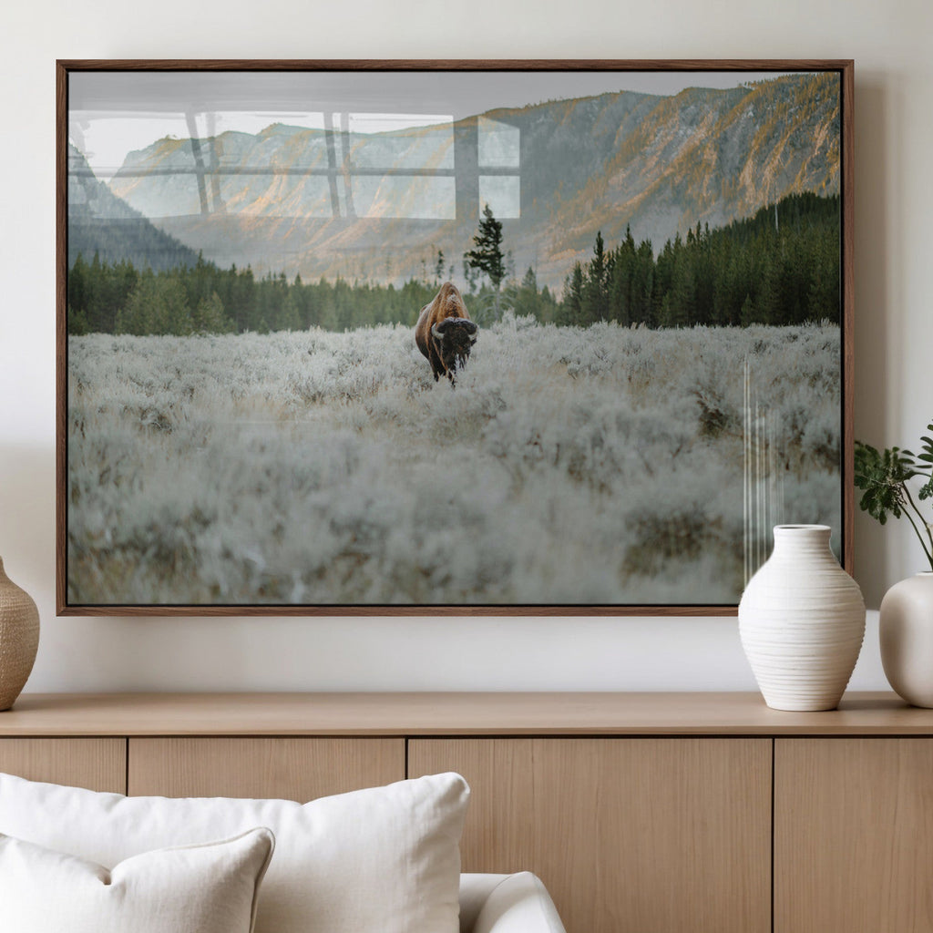 Wild Bison Wall Art Canvas Print, Majestic Mountain Pines and Misty Wilderness