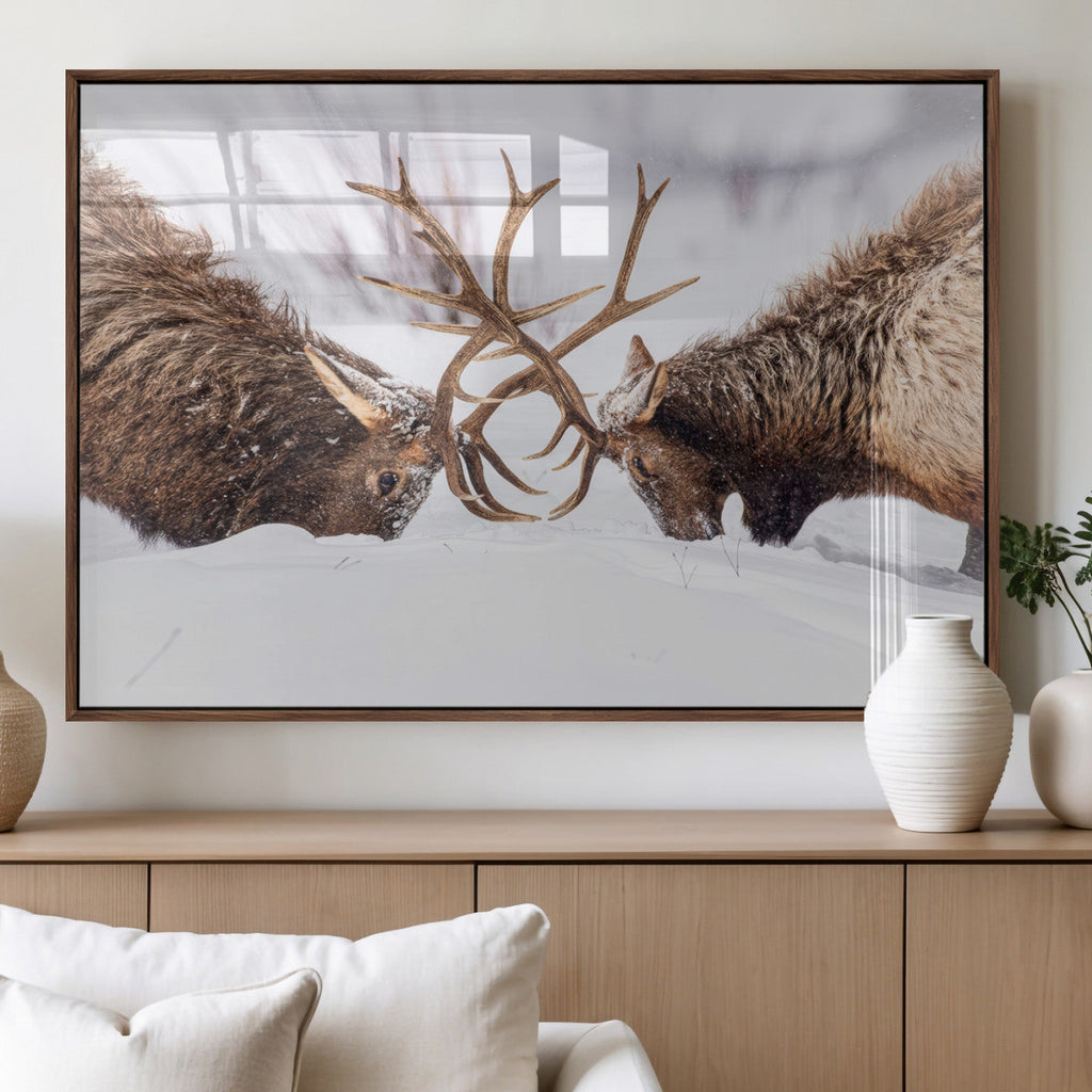 Dramatic Elk Antler Battle Wall Art Canvas Print, Snowy Wildlife Scene
