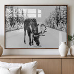 Moose Wall Art Canvas Print, Winter Moose with Antlers in a Snowy Forest