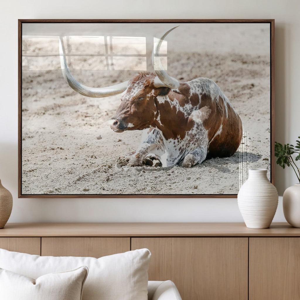 Majestic Longhorn Wall Art Canvas Print, Resting on Sunlit Desert Ground