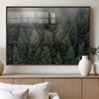 Misty Pine Forest Wall Art Canvas Print, Lush Green Trees Surrounded by Gentle Fog