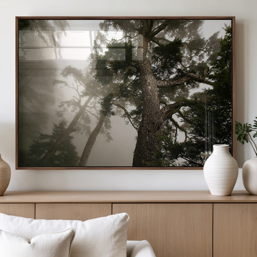 Misty Forest Wall Art Canvas Print, Framed Tall Trees in Foggy Atmosphere
