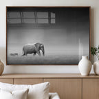 Elephant and Zebra Wall Art Canvas Print, Modern Artwork