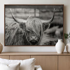 Cow Focus Canvas Wall Art Print