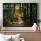 Sunlit Forest Pathway Canvas Print | 3 Panel Large Nature Wall Art