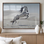 Prancing Horse Desert Large Wall Art Canvas Print, Majestic Horse Animal Artwork