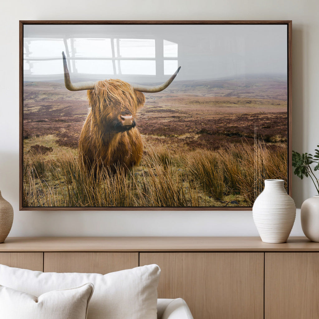 Scottish Highland Cow Canvas Wall Art, Rustic Farmhouse Decor