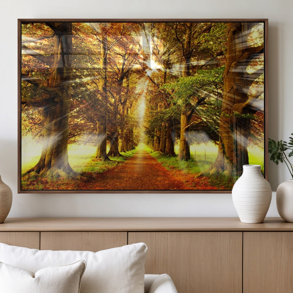 Sunshine in Forest and Trees Wall Art Canvas Print