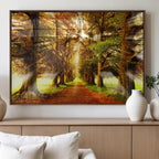 Sunshine in Forest and Trees Wall Art Canvas Print