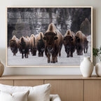 Bison Wall Art Canvas Print, Bison Herd Canvas Wall Art