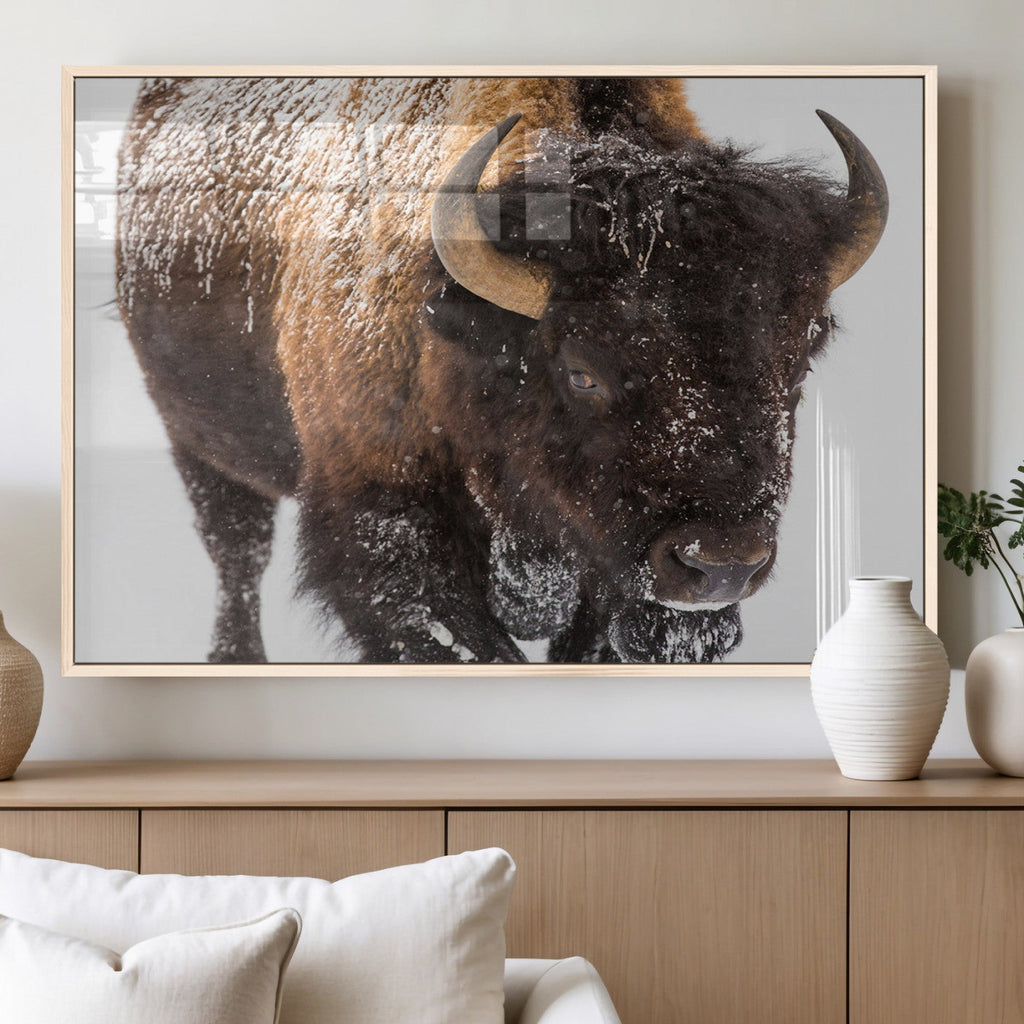 Bison Wall Art Canvas Print For Farmhouse, Wild Animal Wall Art