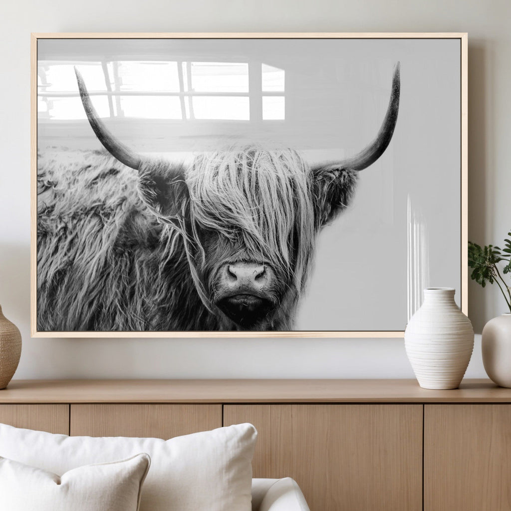 Black White Scottish Highland Cow Cattle Art Print Farmhouse Decor