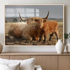 Highland Cow Canvas Wall Art Animal Print for Farm House Decor
