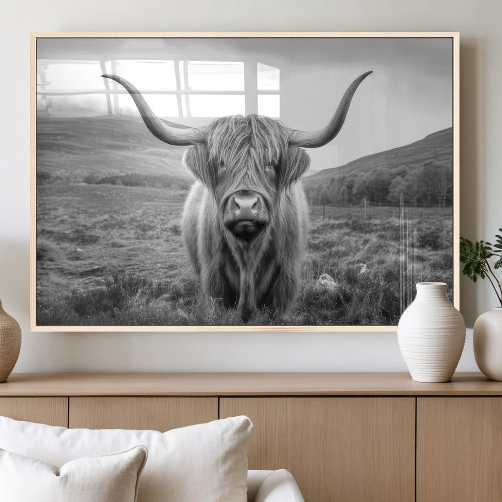 Black White Scottish Highland Cow Canvas Farm Wall Art