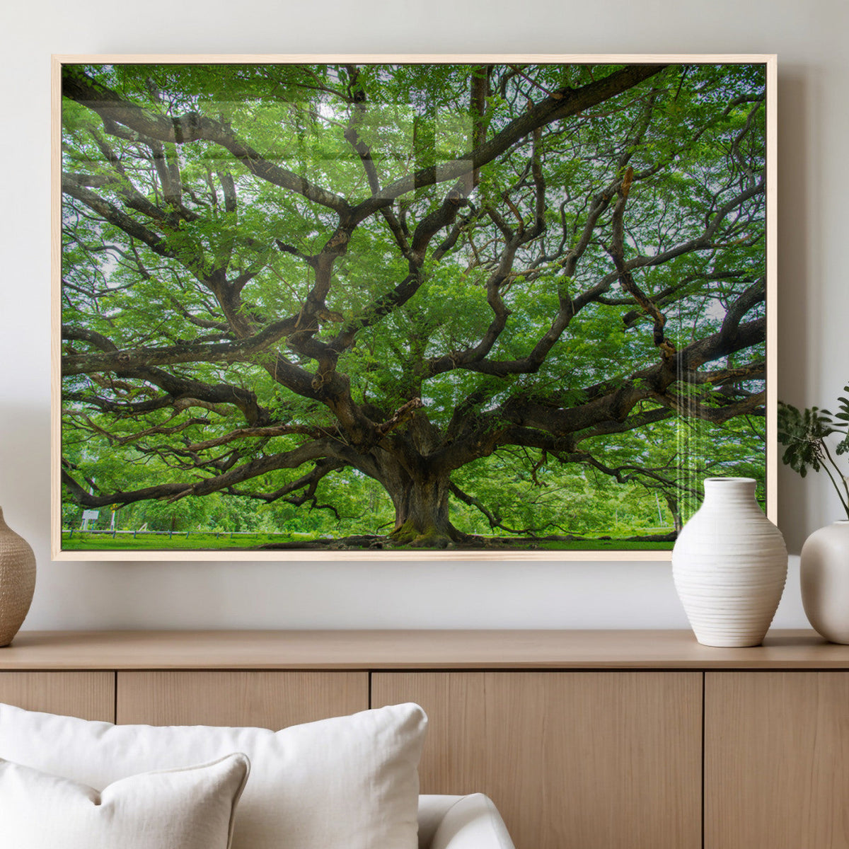 Ancient Tree Wall Art Canvas Print, Framed Sprawling Branches