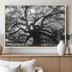 Ancient Oak Wall Art Canvas Print | Gnarled Tree with Twisted Branches