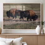 Bison Wall Art Canvas Print, Framed Western Wildlife Modern Ranch