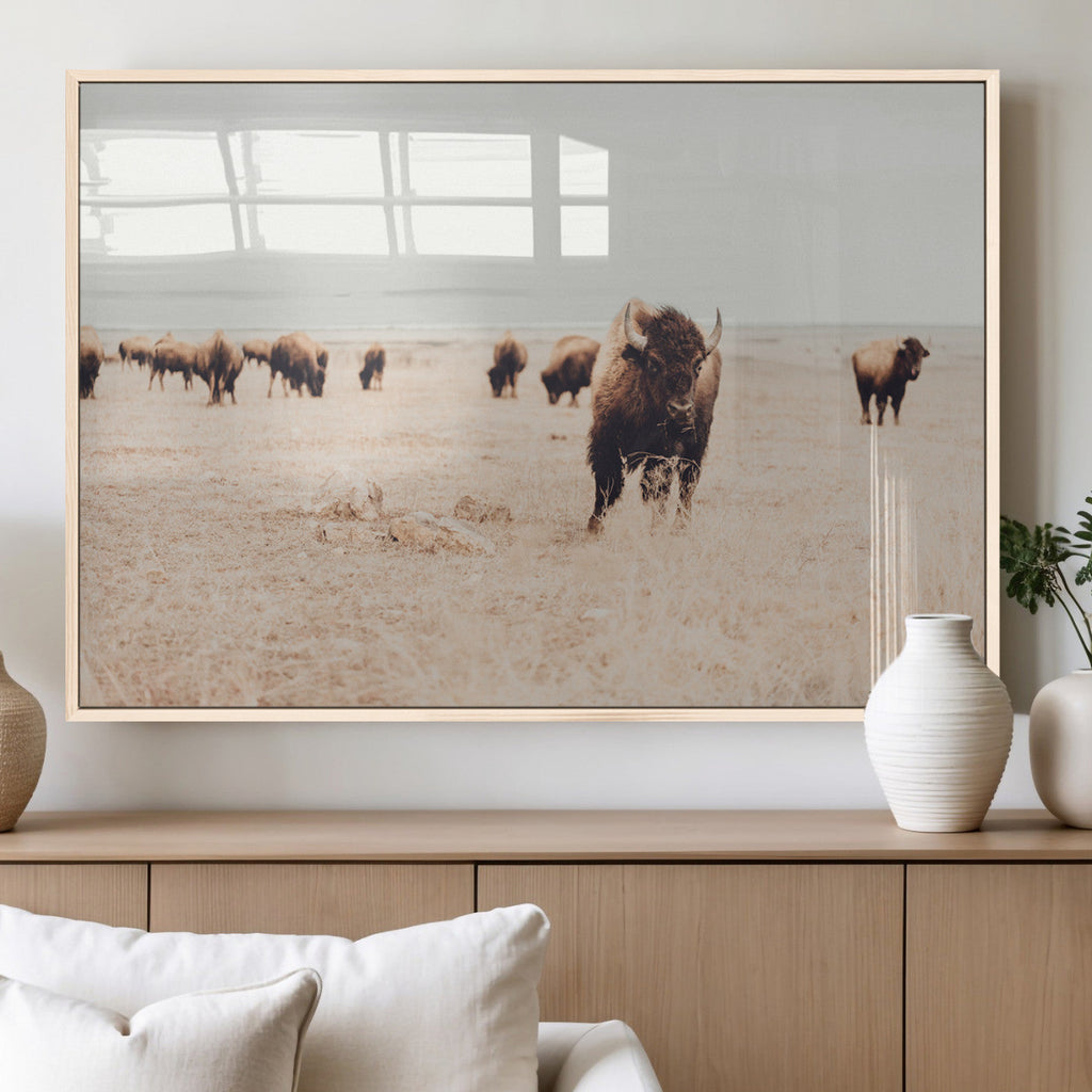 Bison Herd Wall Art Canvas Print, Framed Western Prairie Serenity
